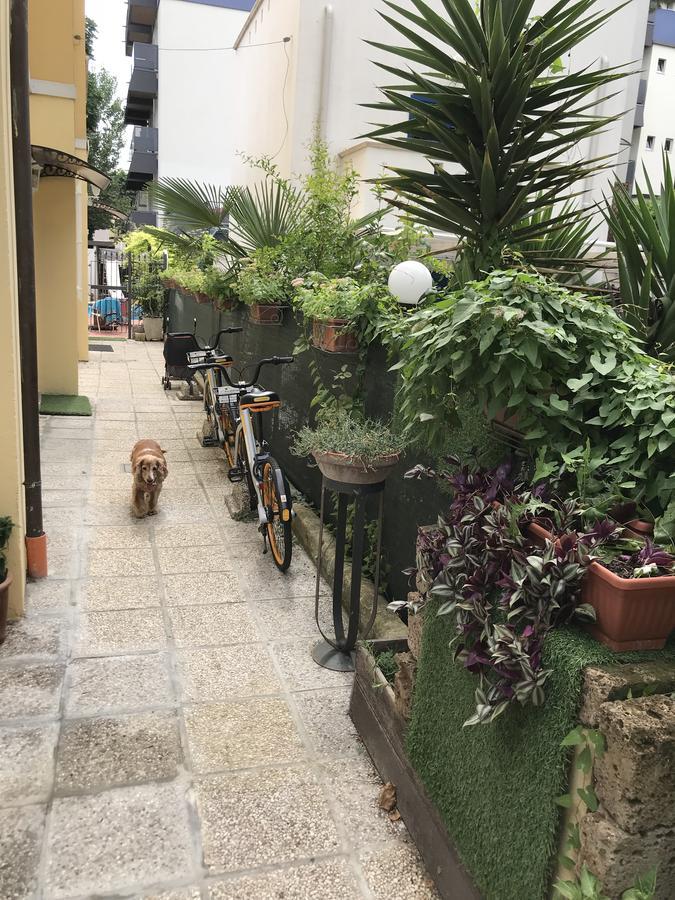 Villa Grazia Rímini Exterior foto